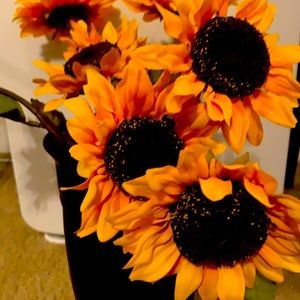 Meet your Posher, Rochelle